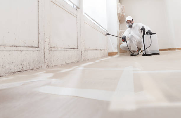 24/7 Emergency Mold Testing experts in Fountain, NC
