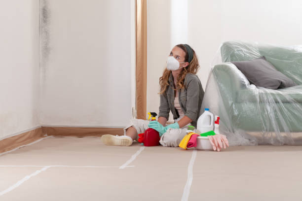 Trusted Black Mold Removal service in Fountain, NC - Cheap Mold Removal